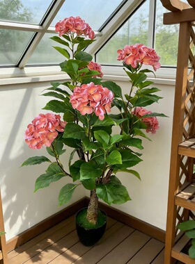 仿真绣球花盆栽带叶新年婚庆装饰盆栽摆件绢花摄影花墙打底绣球花