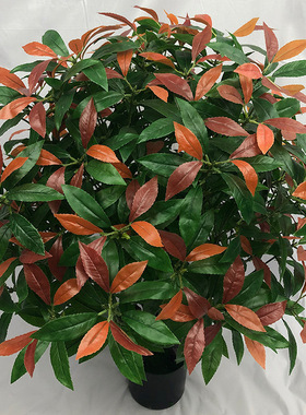 仿真植物红叶树绿植红楠树楠木树客厅落地盆栽装饰摆件厂家