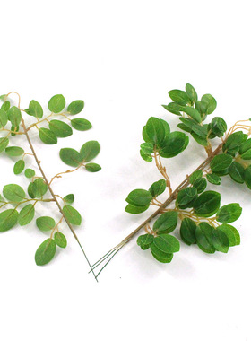 仿真植物灌木 檵木叶白花继木大叶樨花月桂叶绿植装饰厂家