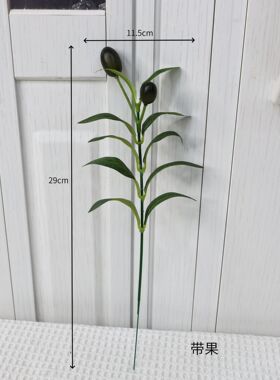 仿真橄榄叶绿植小单枝橄榄叶客厅餐桌带果摄影道具橄榄枝婚庆装饰