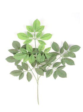 仿真绿植盆栽盆景富贵叶三叉枝叶金钱叶玉兰叶假植物树叶榕叶