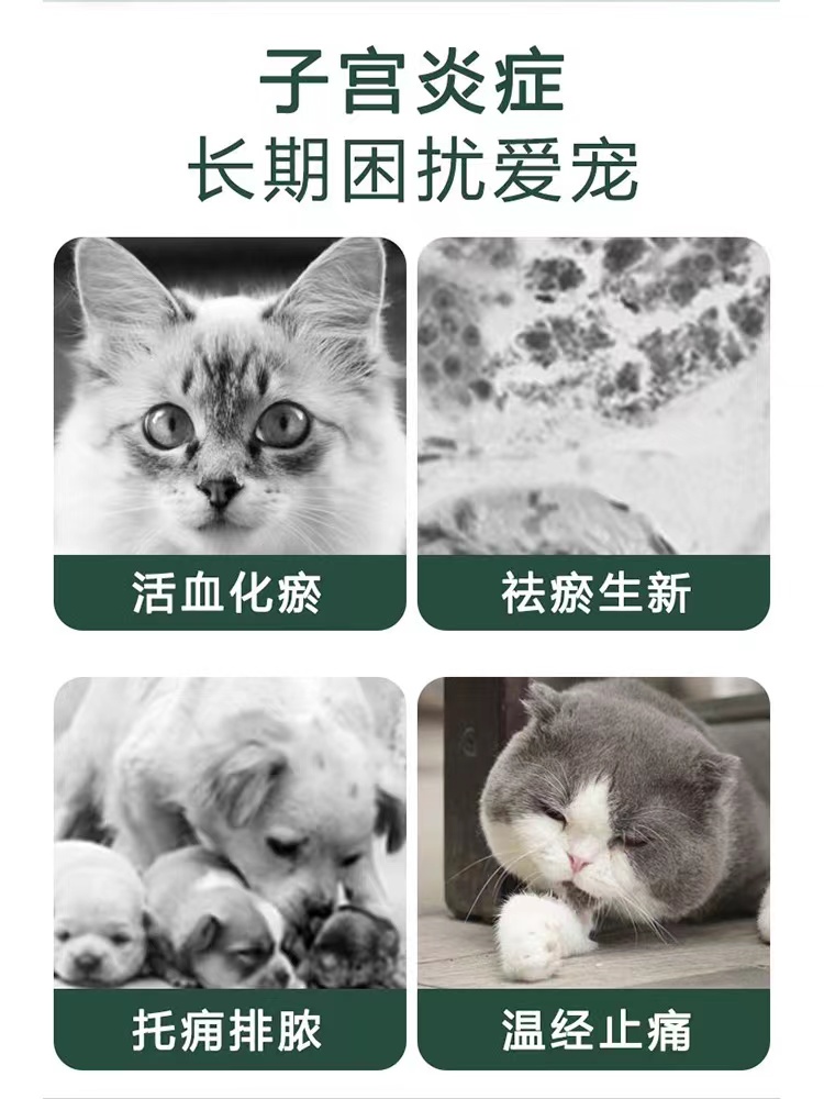 宫脓净鲁米苏宠物犬猫子宫蓄脓子宫蓄积液犬猫产后排毒抗炎口服 - 图0