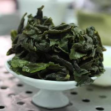 2024年新春茶 茶农直销安溪铁观音茶叶 冰茶 湿茶  新鲜上市100g