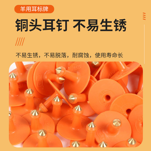 耳标号牌羊用耳标防疫专用耳标牌羊免疫标记标签牌畜牧兽用耳标钳 - 图2