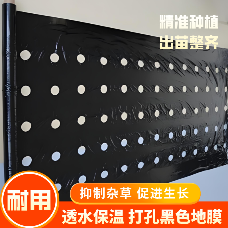 加厚开孔打孔黑地膜农用种植除草塑料薄膜草莓羊肚菌药材带孔地膜 - 图1