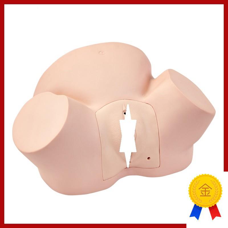 高级助产训练模型女性孕妇助产分娩H模型妇科接生分娩训练模型 - 图1