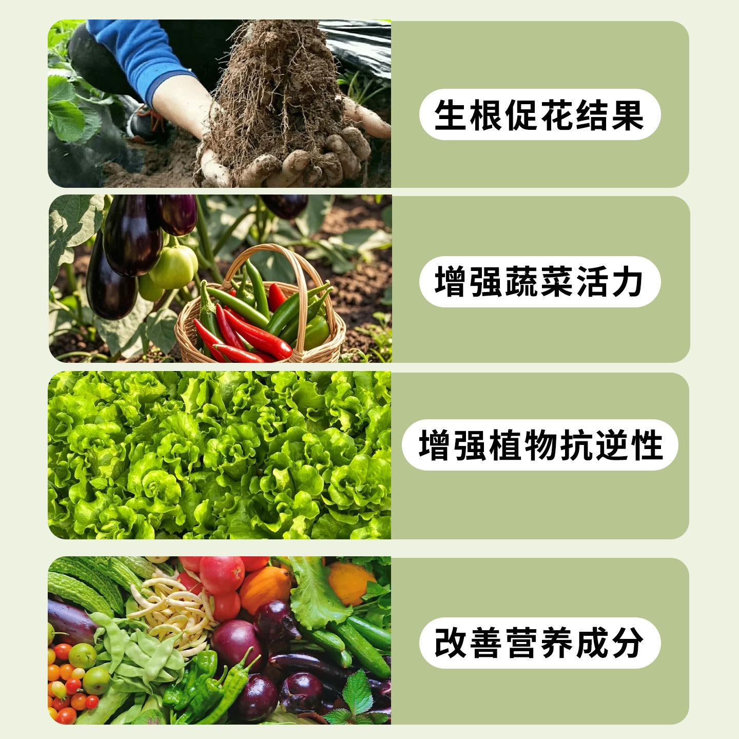 营养土养花通用专用种菜土壤种植土绿植物多肉花卉家用盆栽种花土,淘宝优惠券,粉丝福利购,淘宝优惠卷