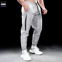 Bully Muscle Men Sports Fitness Long Pants Spring Autumn New Running Training Suit Spring Autumn Speed Dry Pants Mens New