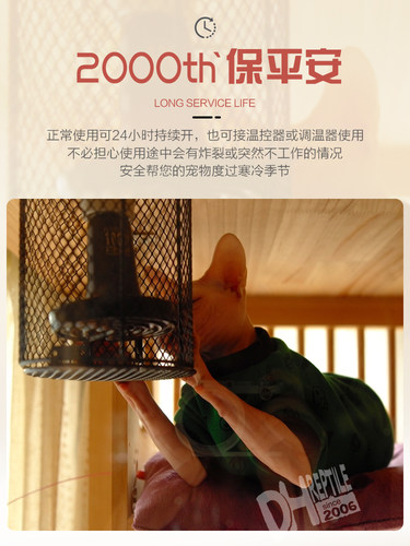 包邮DH宠物变色龙高防爆20000小时红外陶瓷加热器加热灯陶瓷灯B款 - 图1