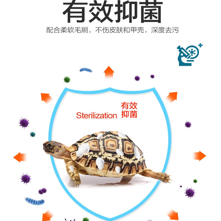 大韩爬虫陆龟蜥蜴宠物杀菌消毒清洁刷毛刷深度清洁刷安全灭菌病毒,淘宝优惠券,粉丝福利购,淘宝优惠卷