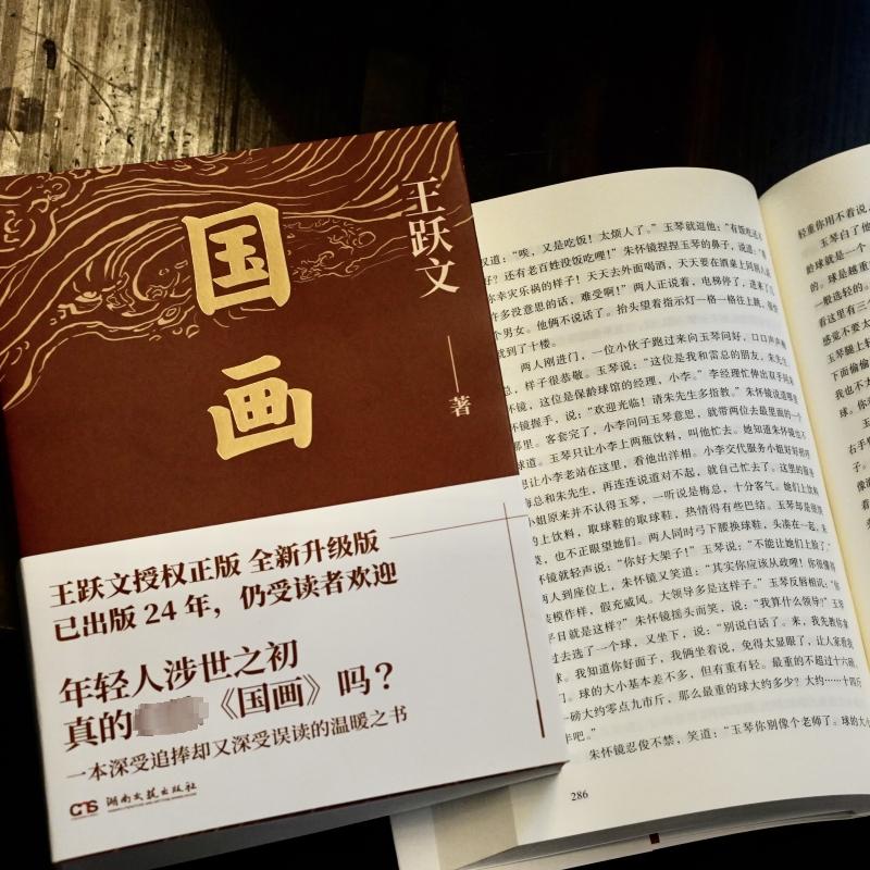 国画 王跃文 著 职场小说文学 新华书店正版图书籍 湖南文艺出版社 - 图2