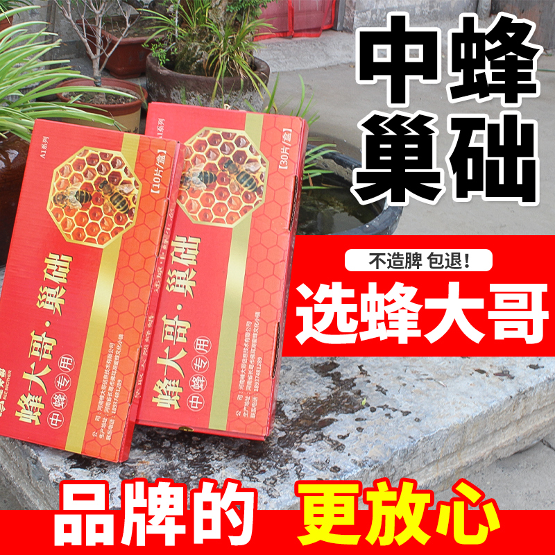 中蜂巢础片蜂大哥蜜蜂巢基蜂箱巢框专用蜂蜡巢脾养蜂巢皮送埋线器 - 图1