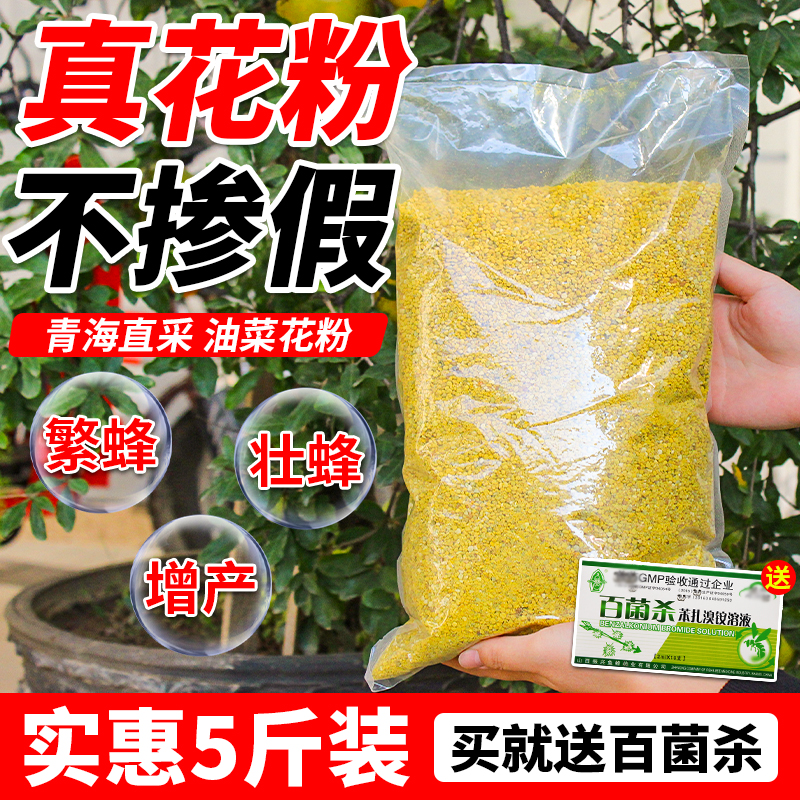 油菜花粉 喂蜂养中蜂意蜂专用蜜蜂饲料5斤装杂粉颗粒蜂粮送百菌杀