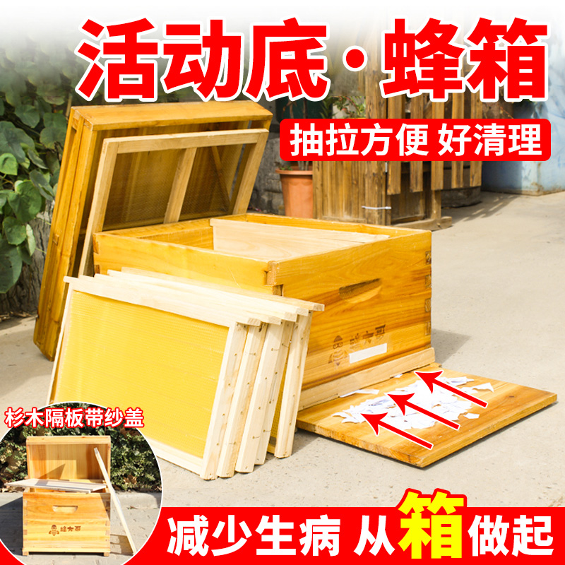 活底蜂箱标准十框中蜂诱峰箱巢础框七框养蜜蜂专用箱子蜂大哥蜂具