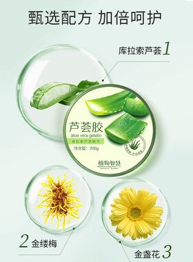 植物智慧芦荟胶200g保湿舒缓正品