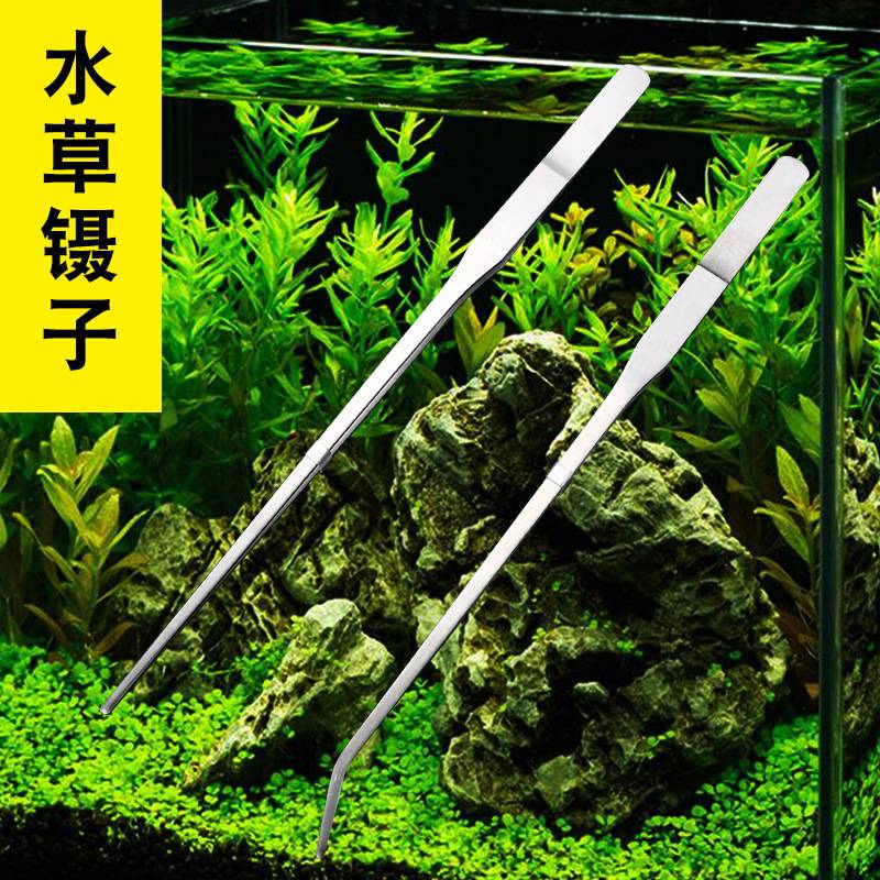 。水草夹 水族水草工具架平沙器不锈钢水草镊子 水草剪刀刮藻刀片 - 图0