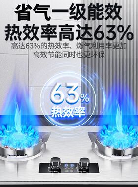 申花燃气灶双灶不锈钢家