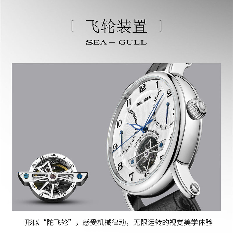 seagull海鸥手表男士飞轮多功能自动机械表皮带男表819.317