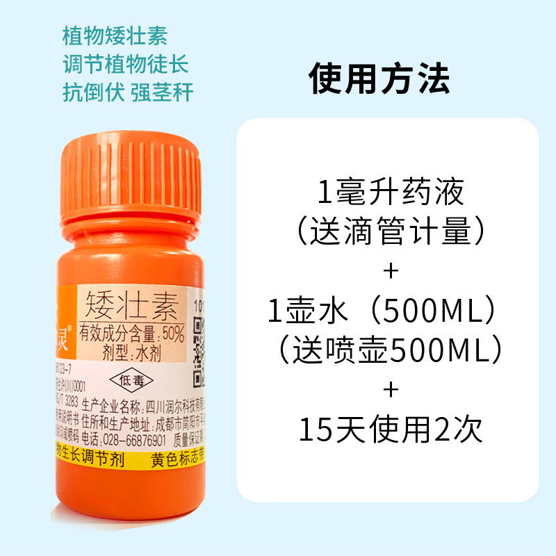 国光矮壮素壮矮素多肉矮胖素玉米矮壮剂花生控旺剂花卉植物矮长素-图3
