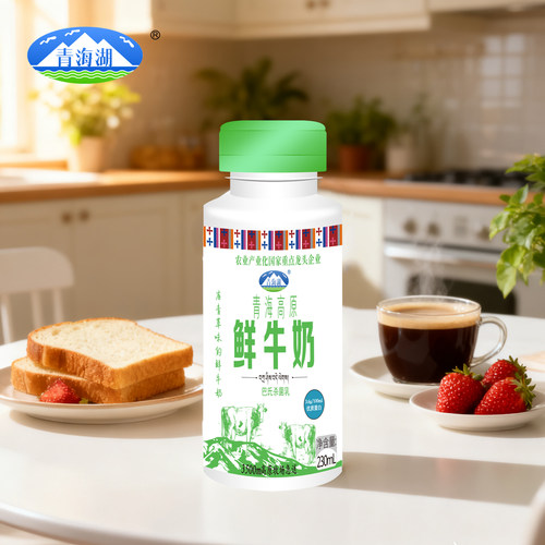 青海湖高原鲜牛奶230ml*8瓶低温营养每日鲜高原牧场早餐鲜活牛奶 - 图3