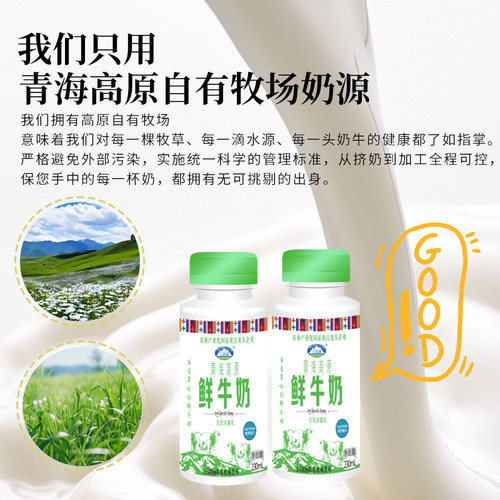 青海湖高原鲜牛奶230ml*8瓶低温营养每日鲜高原牧场早餐鲜活牛奶 - 图0