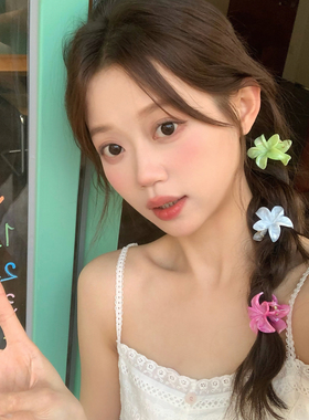 泰兰德！小号晕染鸡蛋花抓夹海边度假拍照发卡氛围感发爪边夹发饰