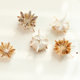 Natural small conch shell bench chrysanthemum sea urchin