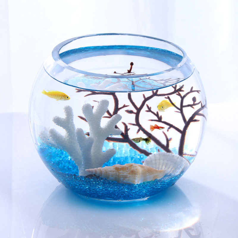 养金鱼水草 新人首单立减十元 21年8月 淘宝海外