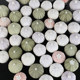 Natural sea urchin night light refrigerator magnet tourist attractions same style conch shell cultural and creative souvenirs special souvenirs