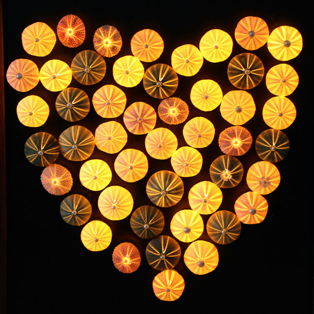 Natural sea urchin night light refrigerator magnet tourist attractions same style conch shell cultural and creative souvenirs special souvenirs