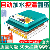 Smart fully automatic incubators Home Hatching Box Small Eggs Rudding Chicken Duck Goose Pigeon Quail Incubator