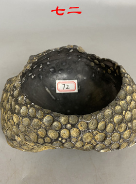 珊瑚虫小鱼缸花盆蜂窝状天然奇石