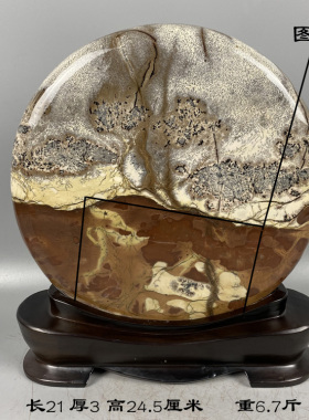 草花石国画石天然奇石原石头