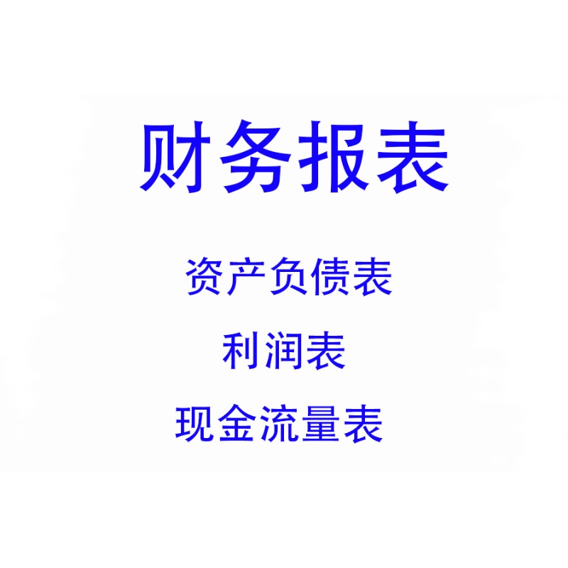 银行贷款财务报表资产负债表利润表现金流量表招投标年审年报附注 - 图3