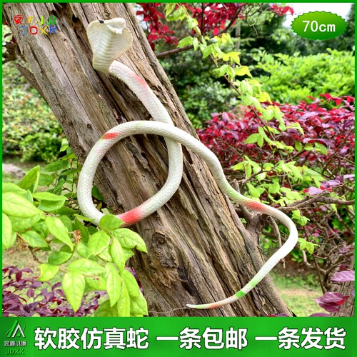 软胶仿真小白蛇儿童玩具眼镜蛇恶搞吓人塑胶假蛇静态爬行动物模型 - 图0