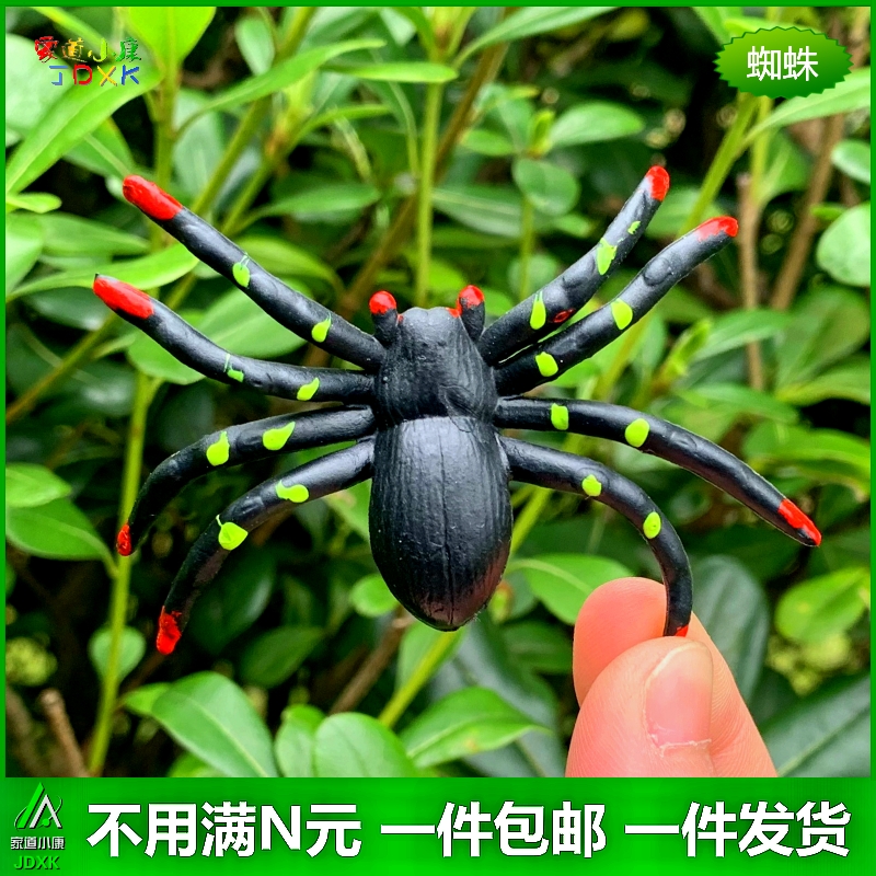 仿真蚂蚁蜘蛛大小号套装儿童过家家认知玩具礼物迷你昆虫动物模型 - 图2