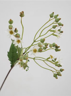 出彩百搭配花仿真小野花小雏菊丁香菊 自然系蓝色花材 摆放花艺绢