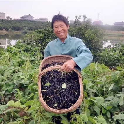 四月芳菲 阿四家的赤小豆500g真空包装 农家自产 五谷杂粮粗粮 - 图0