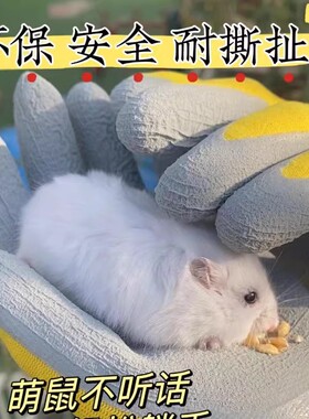仓鼠防咬手套宠物金丝熊动