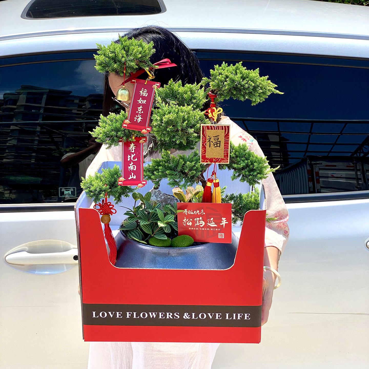 五层塔松盆栽迎客松树盆景客厅高档名贵绿植室内植物乔迁开业礼物,淘宝优惠券,粉丝福利购,淘宝优惠卷