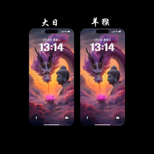 25年新款十二生肖不动尊本命佛专属菩萨安卓动态/苹果静态壁纸mp4