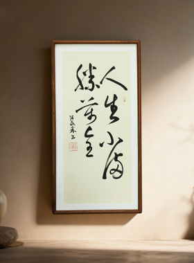 手写书法真迹 观自在 侘寂风禅意字画作品书房茶室客厅民宿挂画