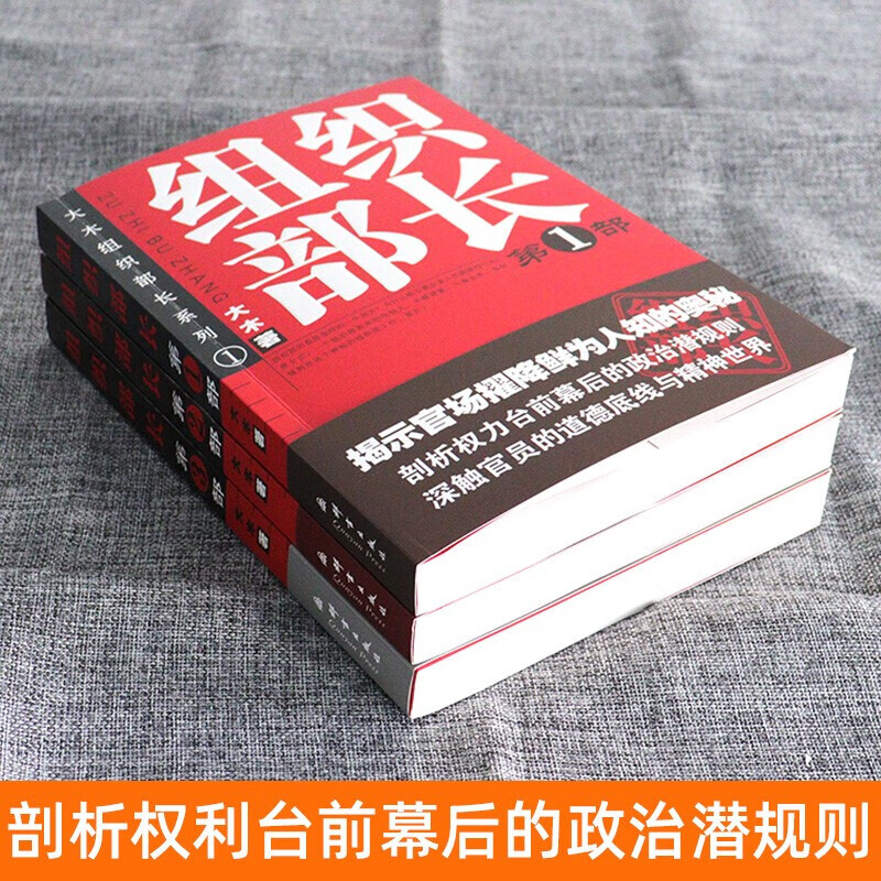 组织部长全套3册大木第一二三部当代官场职场小说省委书记前传问鼎胜算运途同类小说何常在侯卫东官场笔记人民的名义-图1