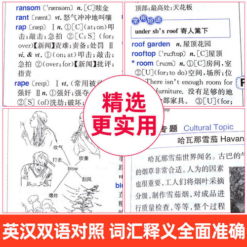 2026年新编双色本正版高中初中小学生专用实用新英汉词典汉英互译双解多全功能工具书大全新华现代汉语英语英文小字典便携朗文成语 - 图3