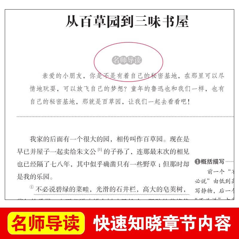 从百草园到三味书屋鲁迅原著必读正版 适合小学生初中生五六七年级上册看的课外书阅读经典名著老师全集小说书籍小学初中散文推荐 - 图0