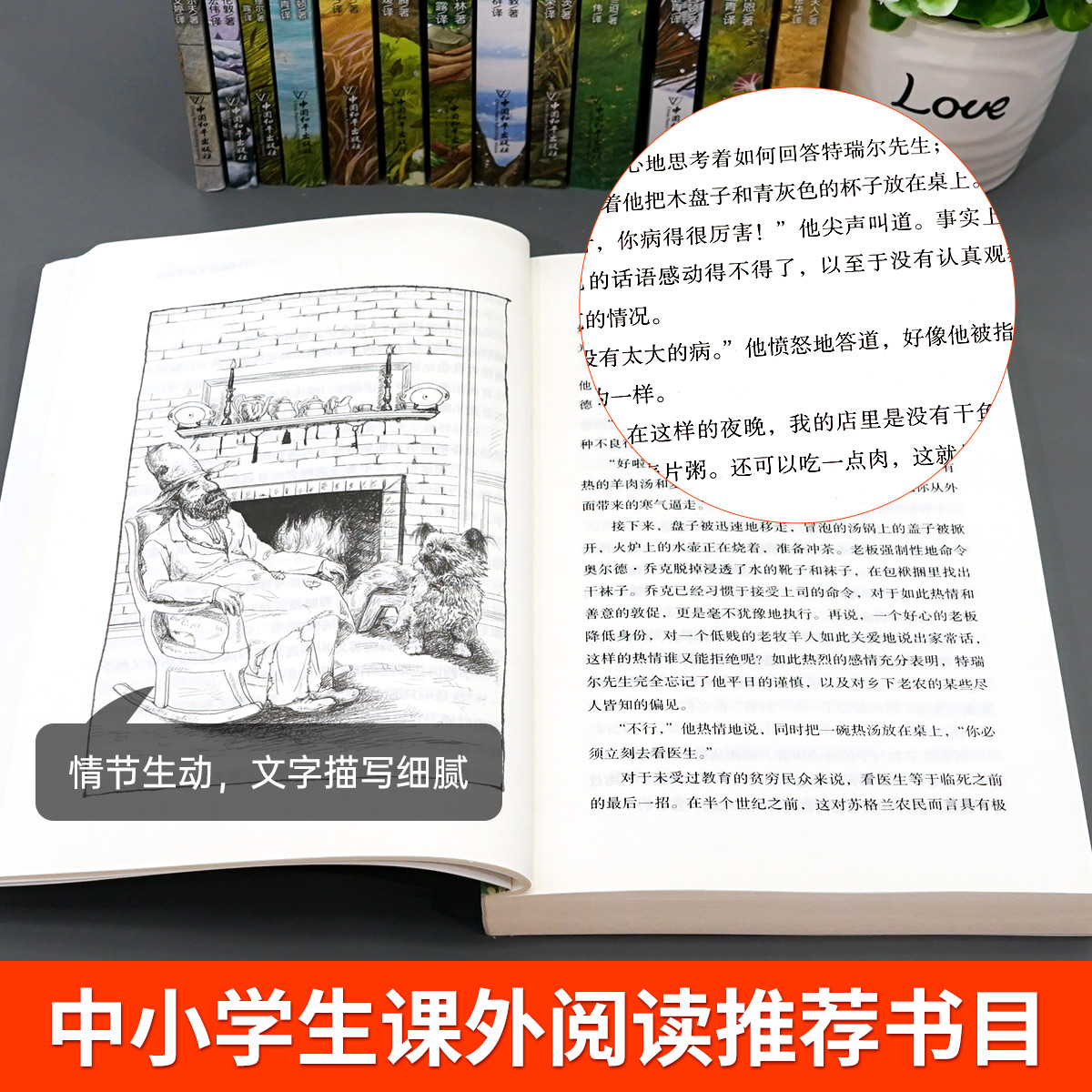 百年经典动物小说全套14册正版小学生三四五六年级阅读课外书必读老师推荐经典世界名著儿童读物青少年阅读小鹿斑比丛林故事黑骏马 - 图2