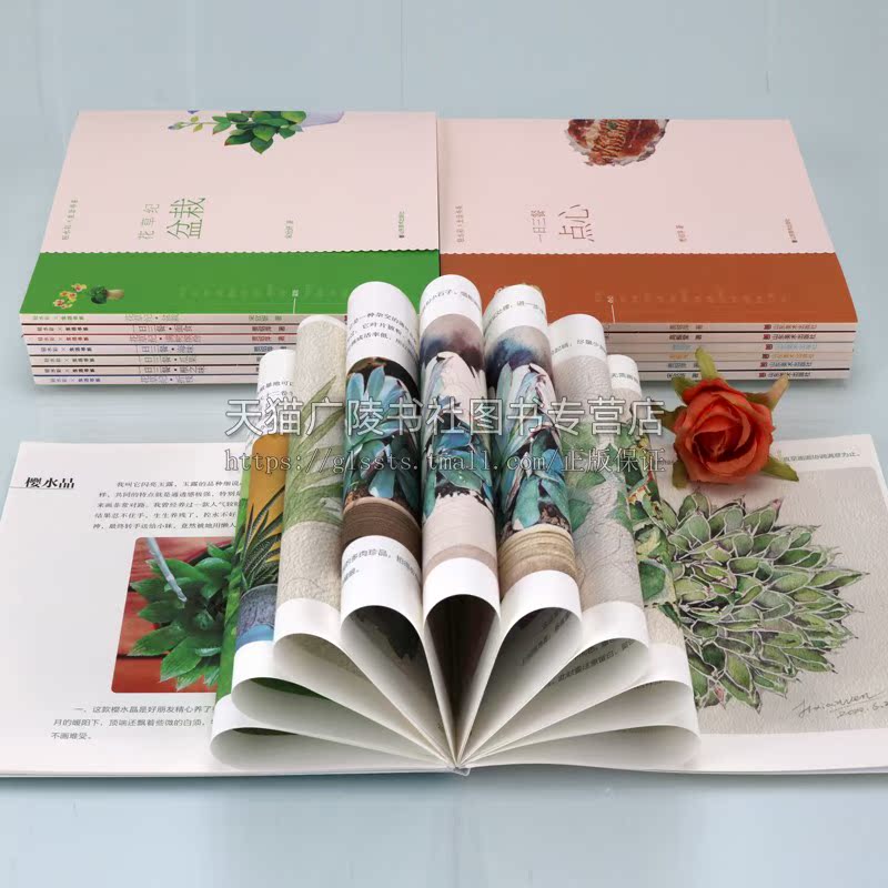 轻水彩生活书系套装14册 轻水彩生活书系花草纪多肉满树缤纷盆栽野趣叶之韵折枝一日三餐.点心干果瓜果面食水彩画教程技法山东美术