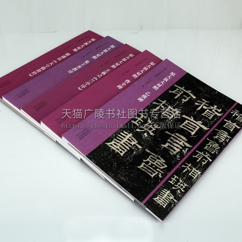 原大放大对照书法入门碑帖(全5册)翁志飞王立奎 褚遂良大字阴符经乙瑛碑集王圣教序王羲之兰亭序曹全碑字帖临摹鉴赏范本书籍