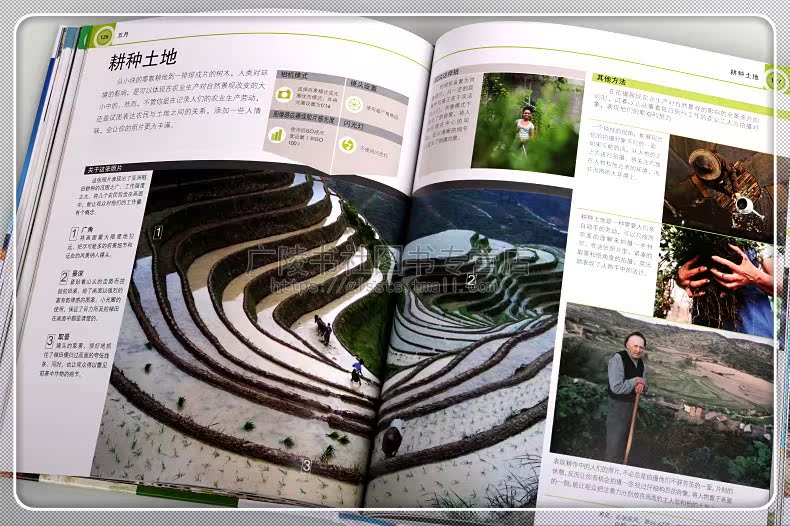 四季摄影 摄影后的创作观念 照片后期处理 照片制作技法 视觉冲击摄影艺术 DK经典摄影艺术书 北京美术摄影出版社