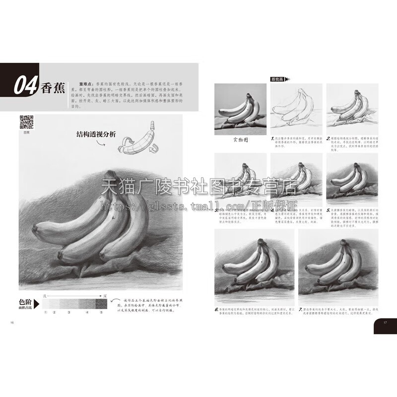 素描技法 从入门到精通(3册)教学视频素描轻松画 生活小物 昆虫动物 花果植物 铅笔画 从结构到明暗 素描速写绘画书籍 正版书籍